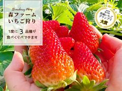 沢村いちご園【アソビュー！】