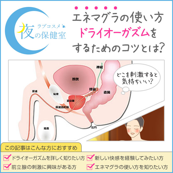 Amazon.co.jp: メスイキ・ドライオーガズムに必須 乳首×前立腺＝ケツイキの