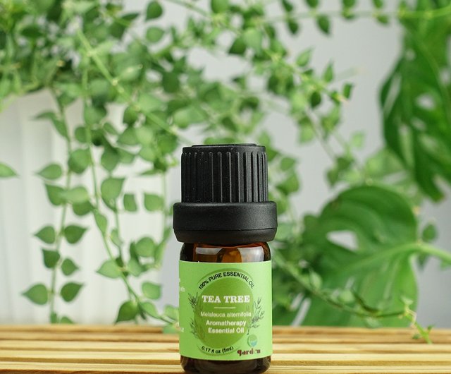 ティーツリーオイルのご紹介 TEA TREE OIL