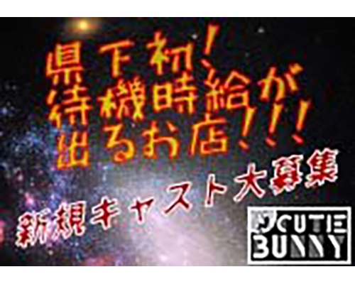 長野のデリヘル求人(高収入バイト)｜口コミ風俗情報局