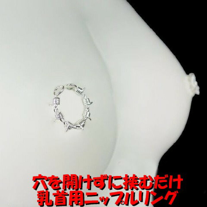 なぜ乳首は感じるのか ～脳の活動（体性感覚野）編～ -