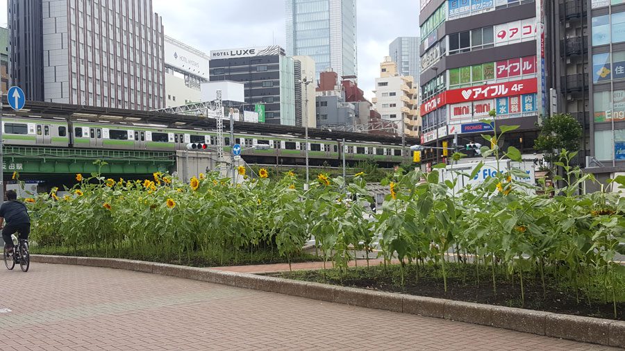 ホームズ】ライオンズプラザ五反田 4階の建物情報｜東京都品川区東五反田2丁目4-6