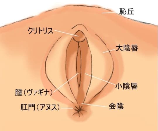 正しいクリトリスの触り方！過去イチの男と言わせる簡単テクも紹介｜駅ちか！風俗雑記帳