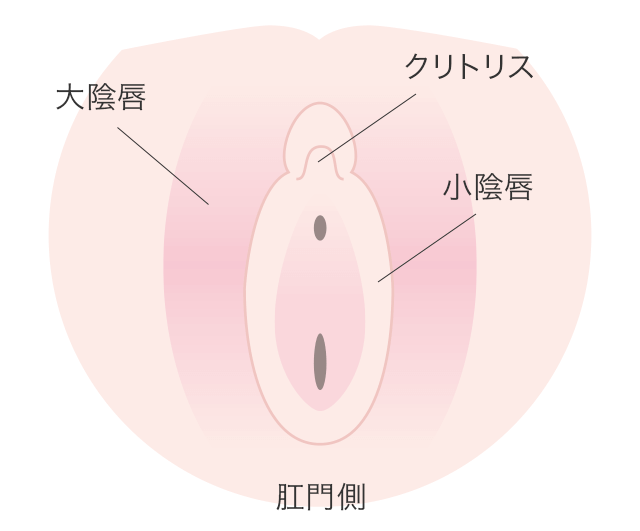 クリトリス包茎 | 婦人科形成 |