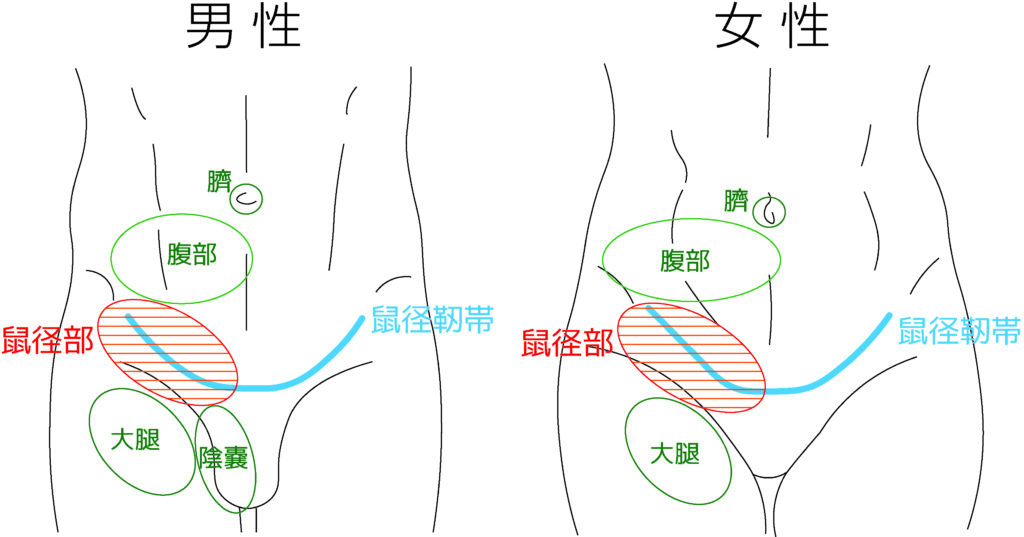 鼠径部をリラックスさせる♪☆ 大人バレエ |