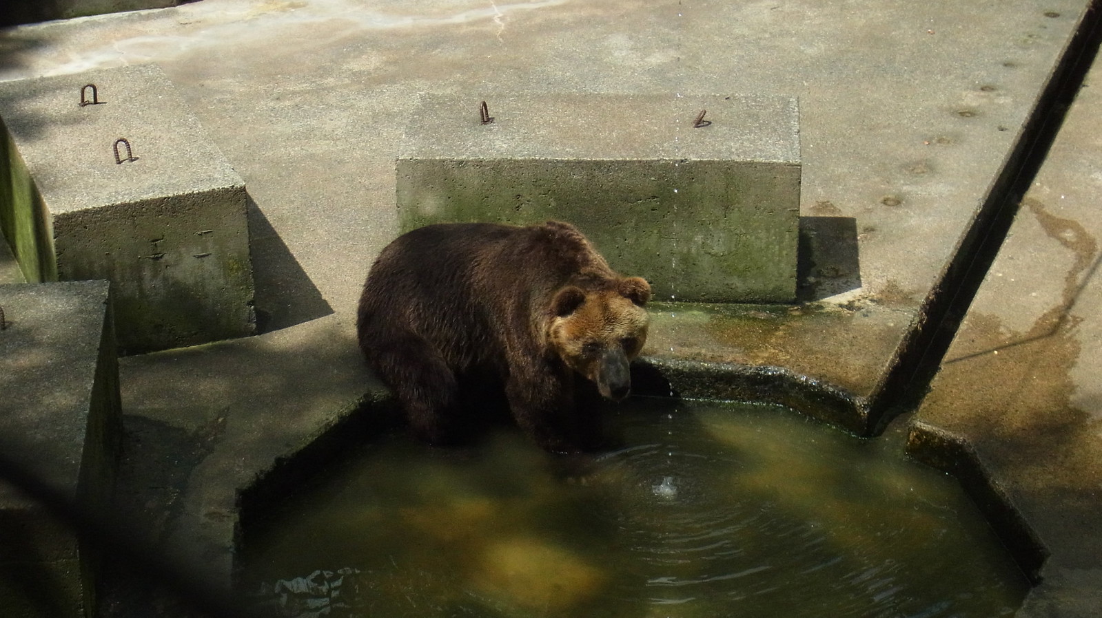 船橋アンデルセン公園 | ストーリーホーム 千葉県佐倉市の工務店