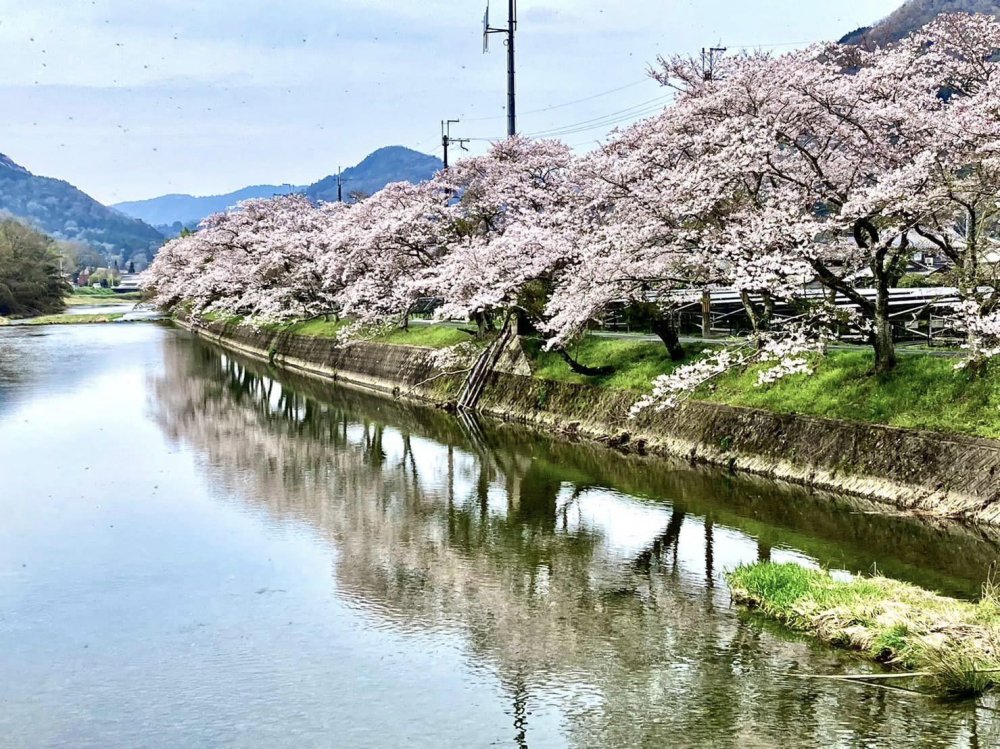 あこうビジネスホテル 桜館のクチコミ情報が満載！【フォートラベル】|赤穂