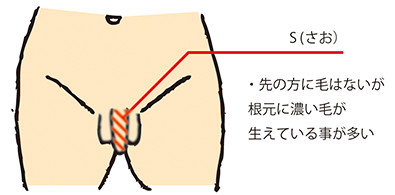 Vライン（陰毛・チン毛・アンダーヘア）脱毛の詳細｜【都度払い】男性のヒゲ・全身脱毛ならメンズ脱毛フィーゴ（figo）