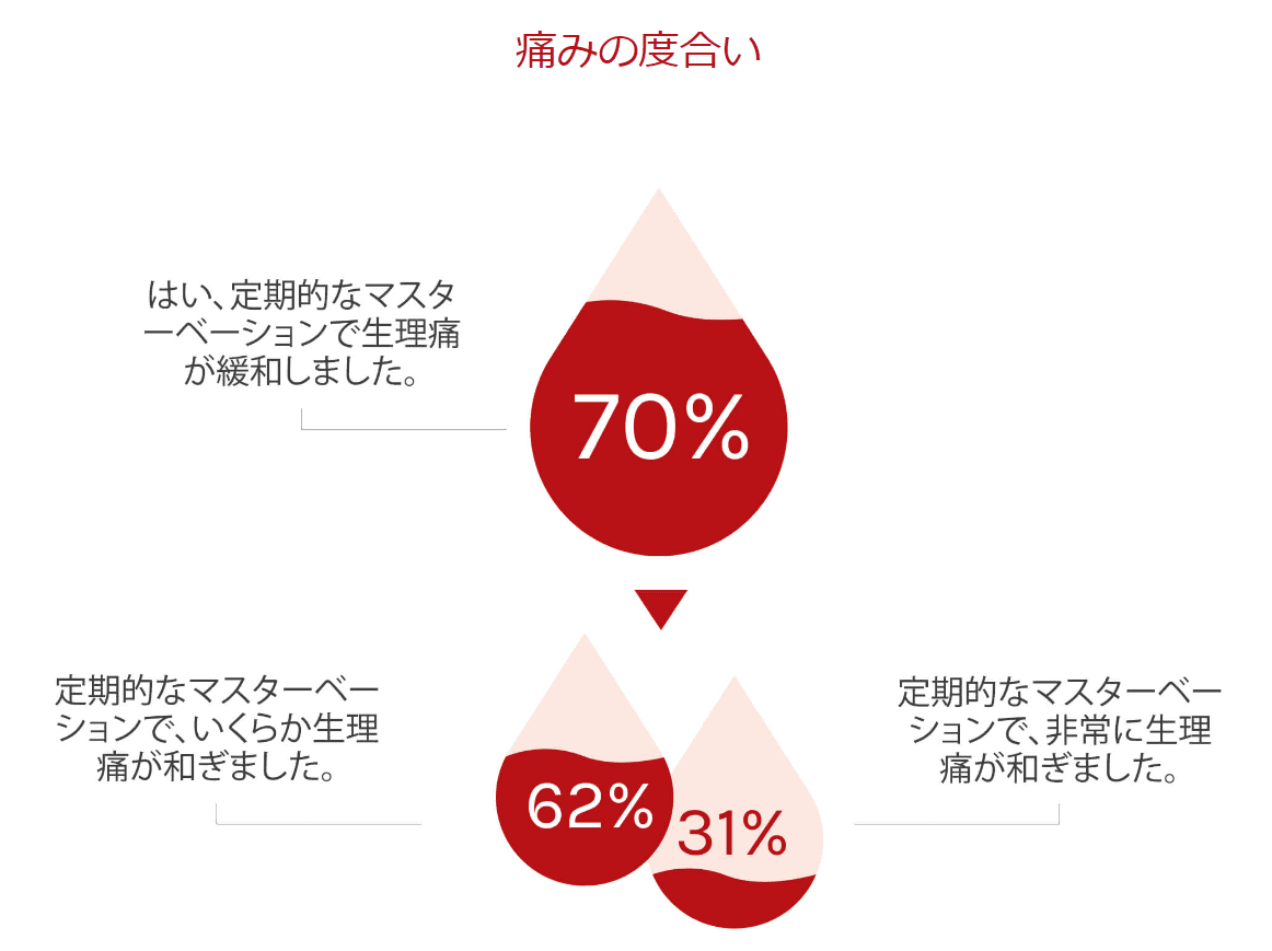 Womanizer(ウーマナイザー) デュオ2ボルドー 740g