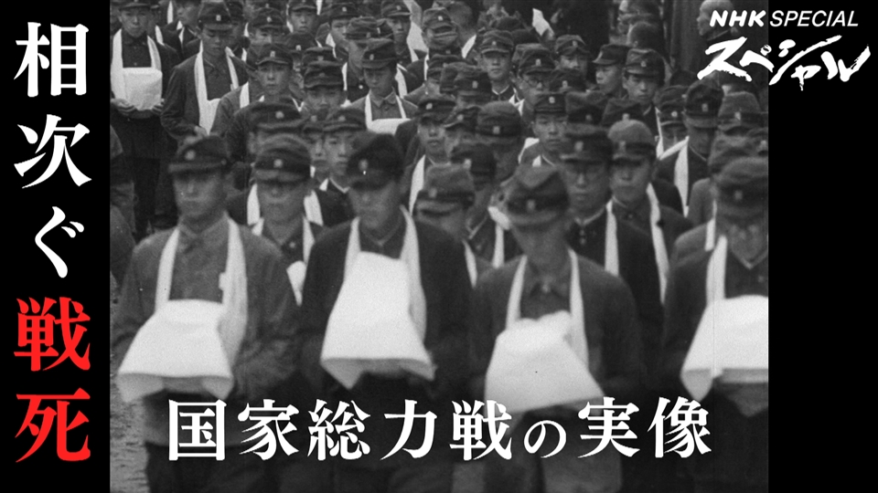 楽天市場】天津甘栗 本場中国河北省産栗『天津甘栗500g×1袋 不揃い 国内加工 国内製造