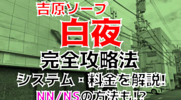 吉原の高級ソープ【将軍】風俗口コミ体験レポ/70分で125,000円!!!吉原最高額の体験ってどんな感じ？ | うぐでり