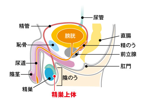 医療法人社団彰考会 あいざわクリニック