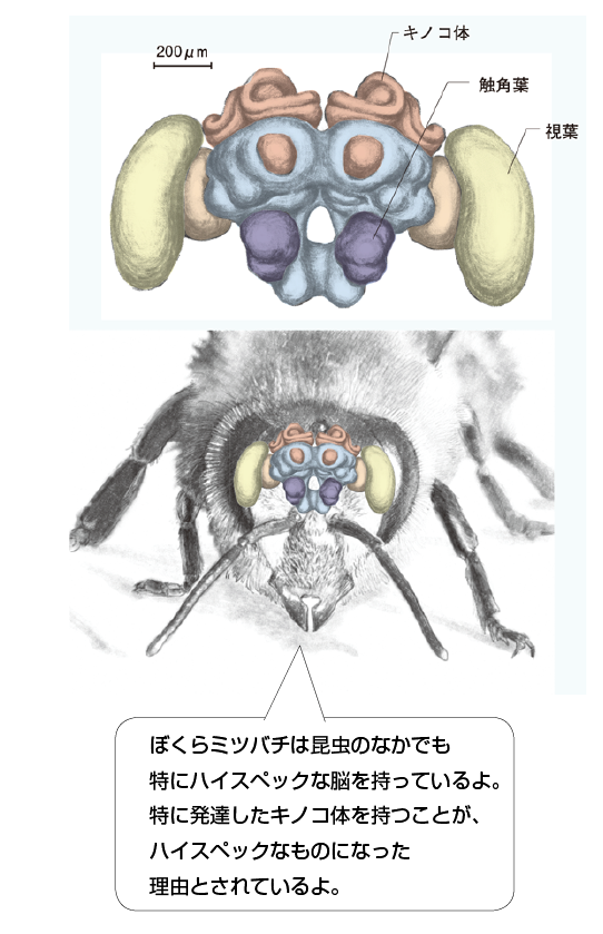 中華航空140便墜落事故 (ちゅうかこうくうひゃくよんじゅうびんついらくじこ)とは【ピクシブ百科事典】