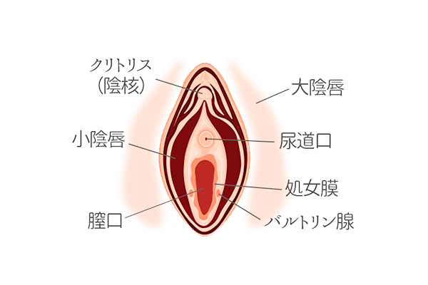 トイズハートプレゼンツ オナニーアンバサダー・あもんのイクときはひとり第10回】乳首吸引で昇天！ クリトリス吸引でメスモード突入！「百戦錬磨」シリーズとの名勝負数え歌は続く！【オナニー画像あり！】