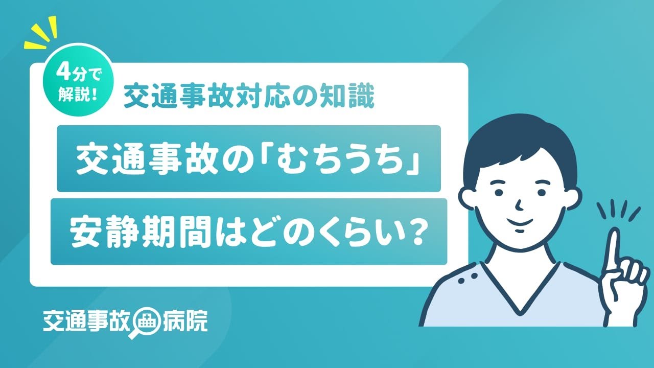 いますぐデキる!調教鞭の打ち方DVD】が発売中です。 | 変態動画専門サイト マニア秘宝館