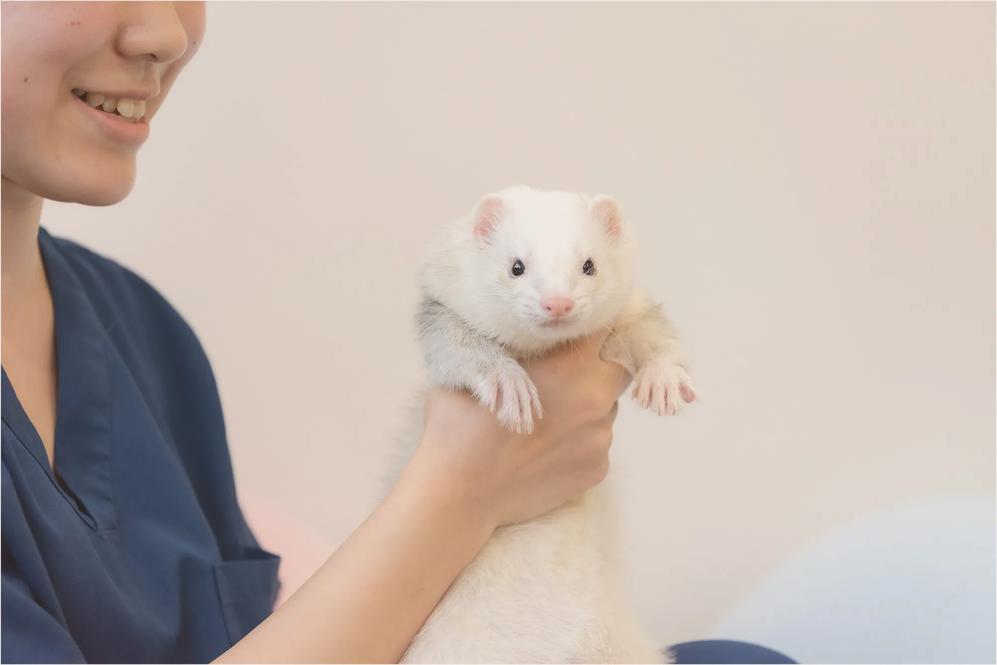 みわエキゾチック動物病院 | ACプラン