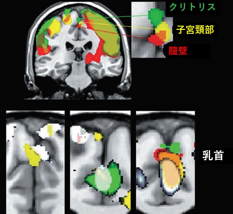 揉みしだかれて感じるおっぱい - エロ画像まとめ