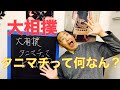 相撲:タニマチ語源は大阪・谷町 好角家が支援､｢推し活｣に通ず なるほど！ルーツ調査隊