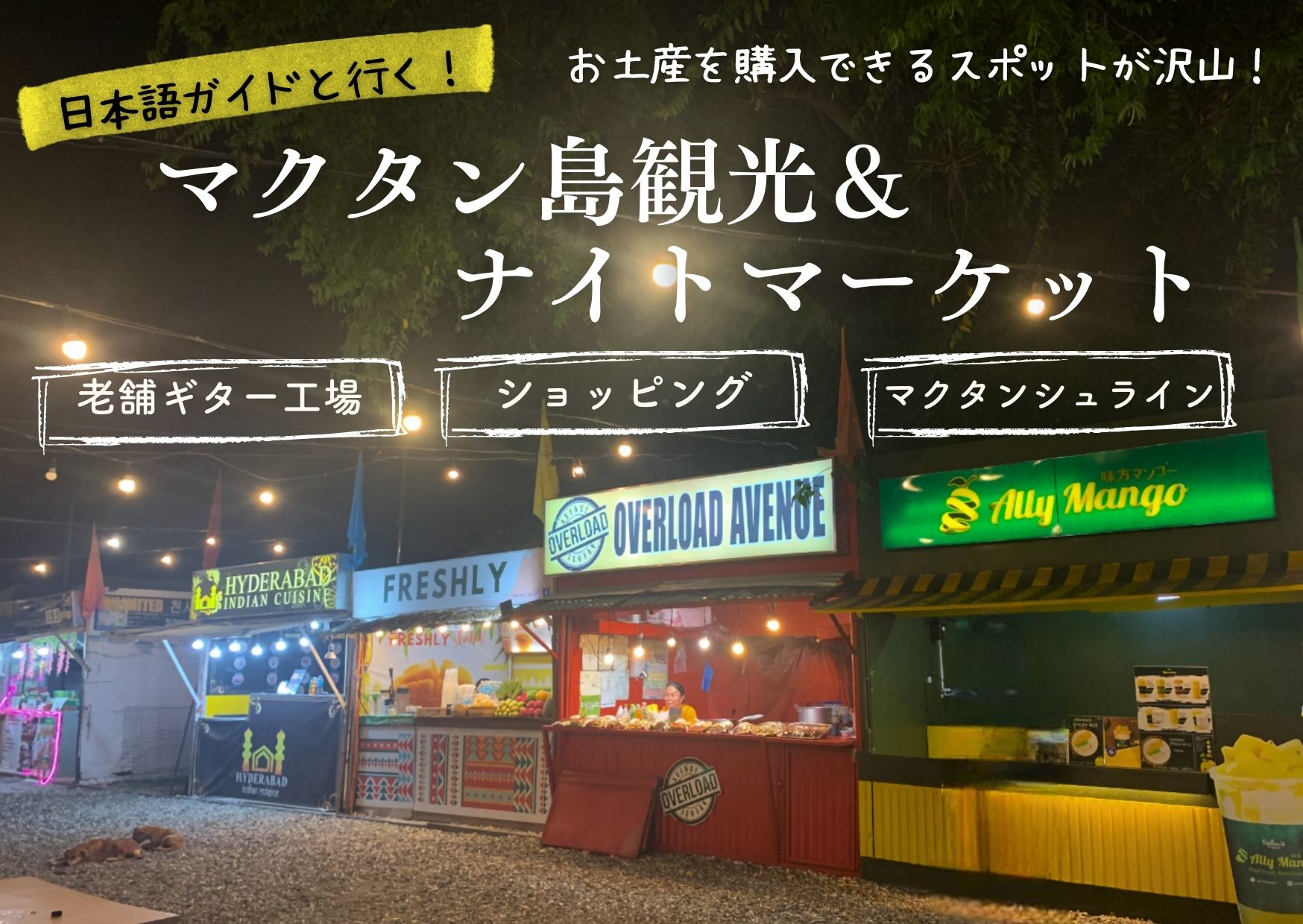 1日観光】マクタン島＆セブシティをまるごと満喫！歴史探訪と主要スポット巡りの充実観光 〜フィリピン料理ディナー＆トップス展望台の夜景鑑賞付き〜