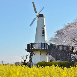 ガザ侵攻 即時停止を/誰の子も殺させない/梅村氏＠埼玉