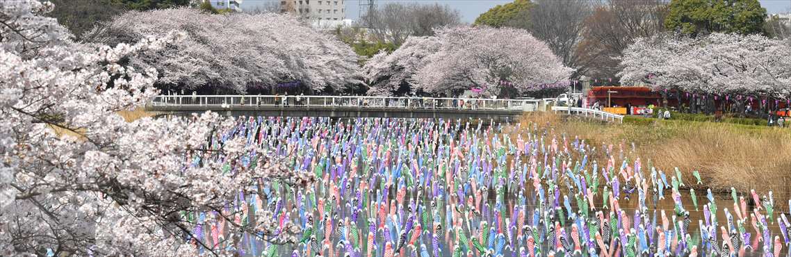 つつじが岡公園（群馬県館林市）大徒渉池（水遊び場）／公園へ行こう！