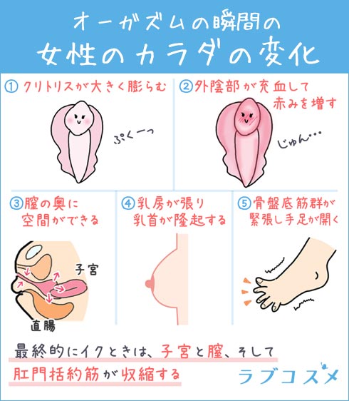 女性がセックスでイク】オーガズムの全てを医学的に徹底解説！ - 美容外科｜船橋中央クリニック&青山セレスクリニック