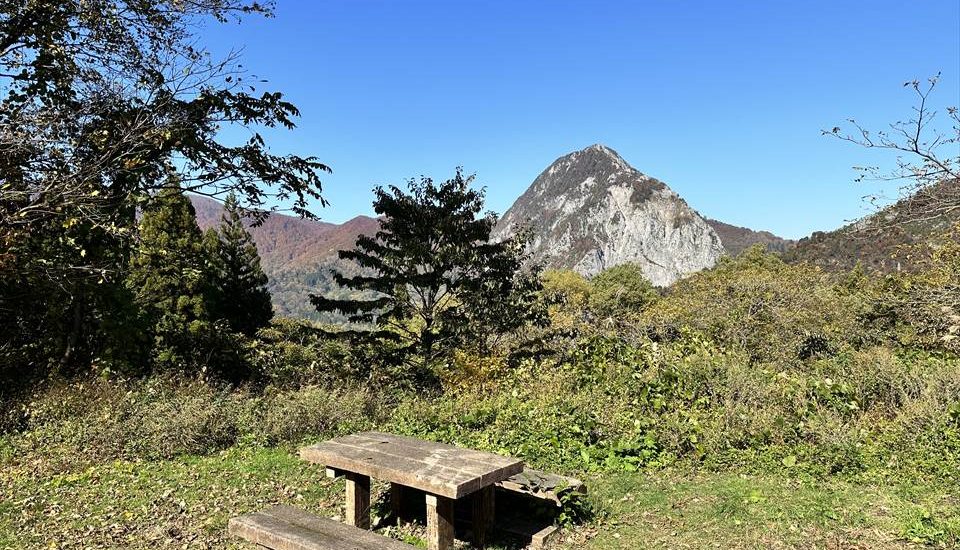 ヒーリングガーデンたかなみ 高浪の池キャンプ場｜新潟県