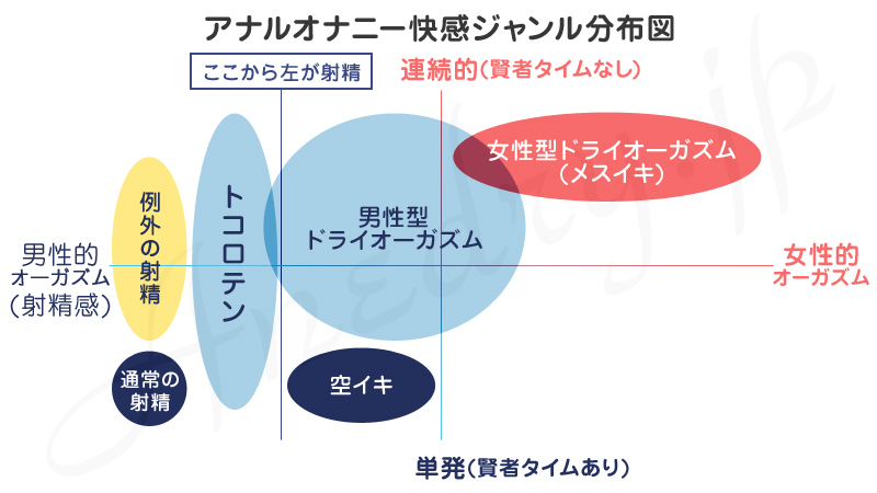 ドS嬢の直伝！イケるアナニーのやり方とコツを紹介！【初心者向け】 - エムオグラシ