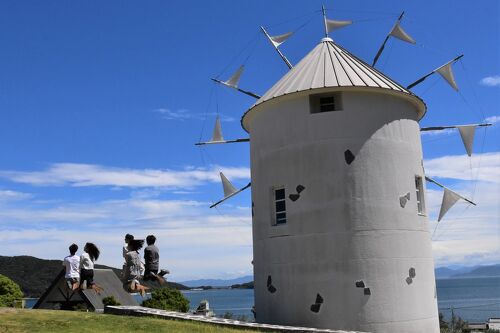 香川県の小豆島 オリーブの実を取り始めた | NEWS WEB