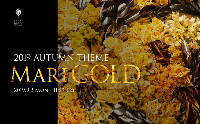 MARIGOLD | 11/4