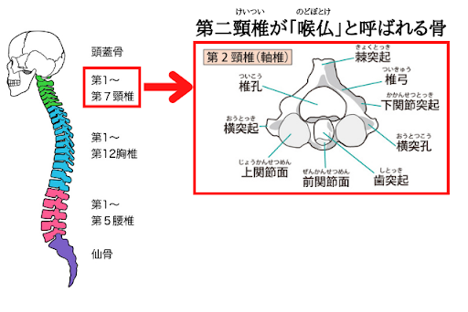 火葬で