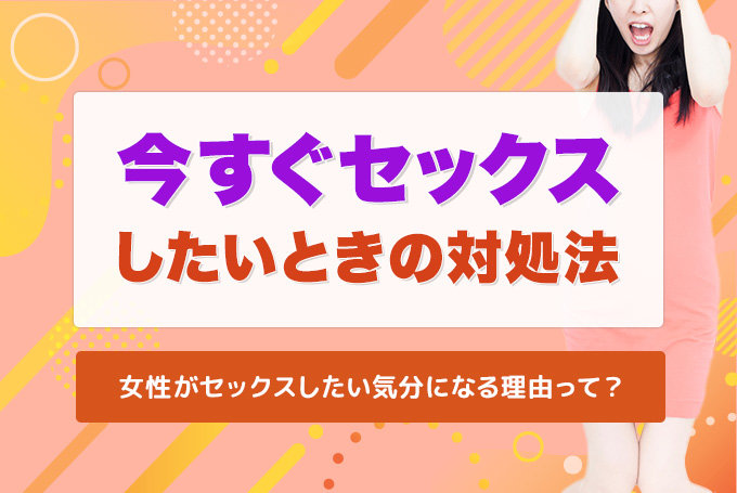 表は風紀委員長、裏はエロ本収集家！？ 『風紀委員長はエッチな本を没収したい』 |