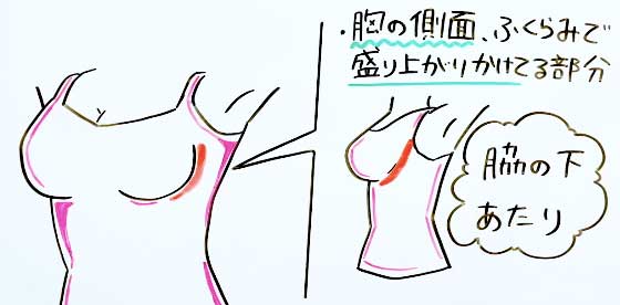 スペンス乳腺とは？】場所や開発する愛撫のやり方を解説【おっぱいのGスポット】