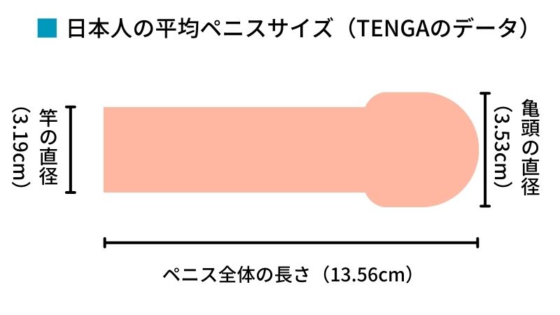 20cmオーバーの私が導き出した、ペニス太くする最短ルートはコレ