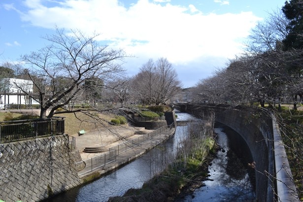 世田谷区立 みんなの森公園 |