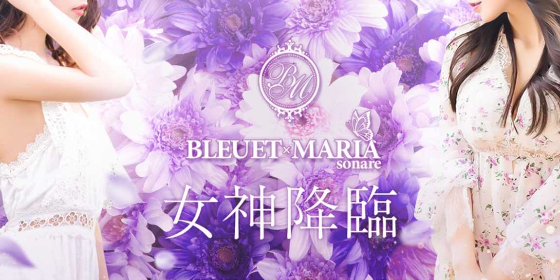 BLEUET×MARIA sonare｜岐南駅｜メンズエステ