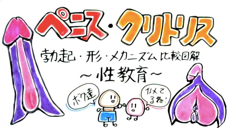 クリトリス、副皮の治療｜ルクスクリニック | 新宿にある美容外科、美容皮膚科、婦人科形成