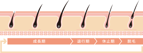 ヒゲを抜き続けると肌がボロボロに！確実にヒゲの悩みを解決する方法 | メンズ脱毛百科事典 リンクスペディア