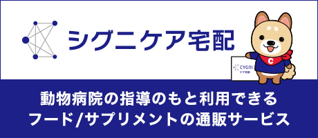 ひので動物クリニック｜当院の院長略歴とスタッフのご紹介