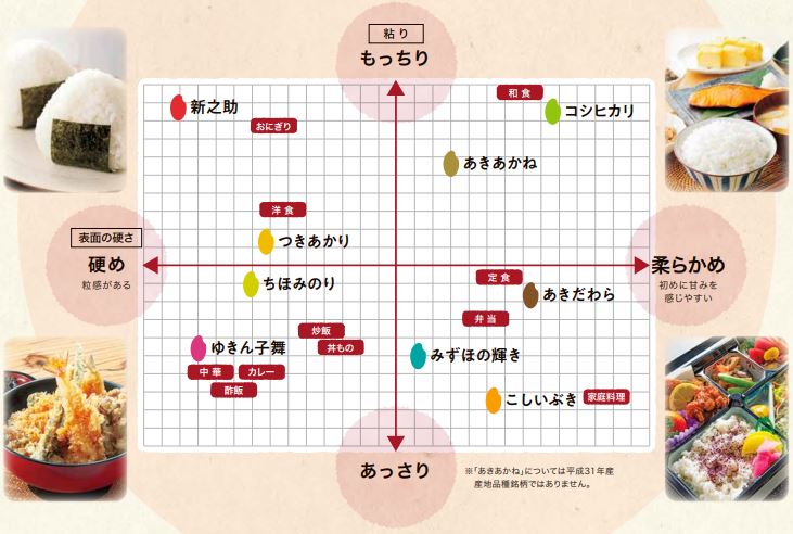 新潟県産 こしいぶき （ 令和6年産 ）