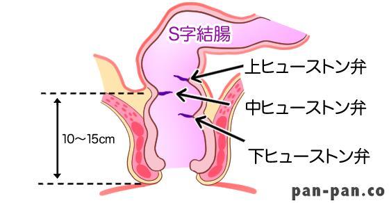 S状結腸イキ」「ドライオーガズム」「トコロテン」という幻想 - その他