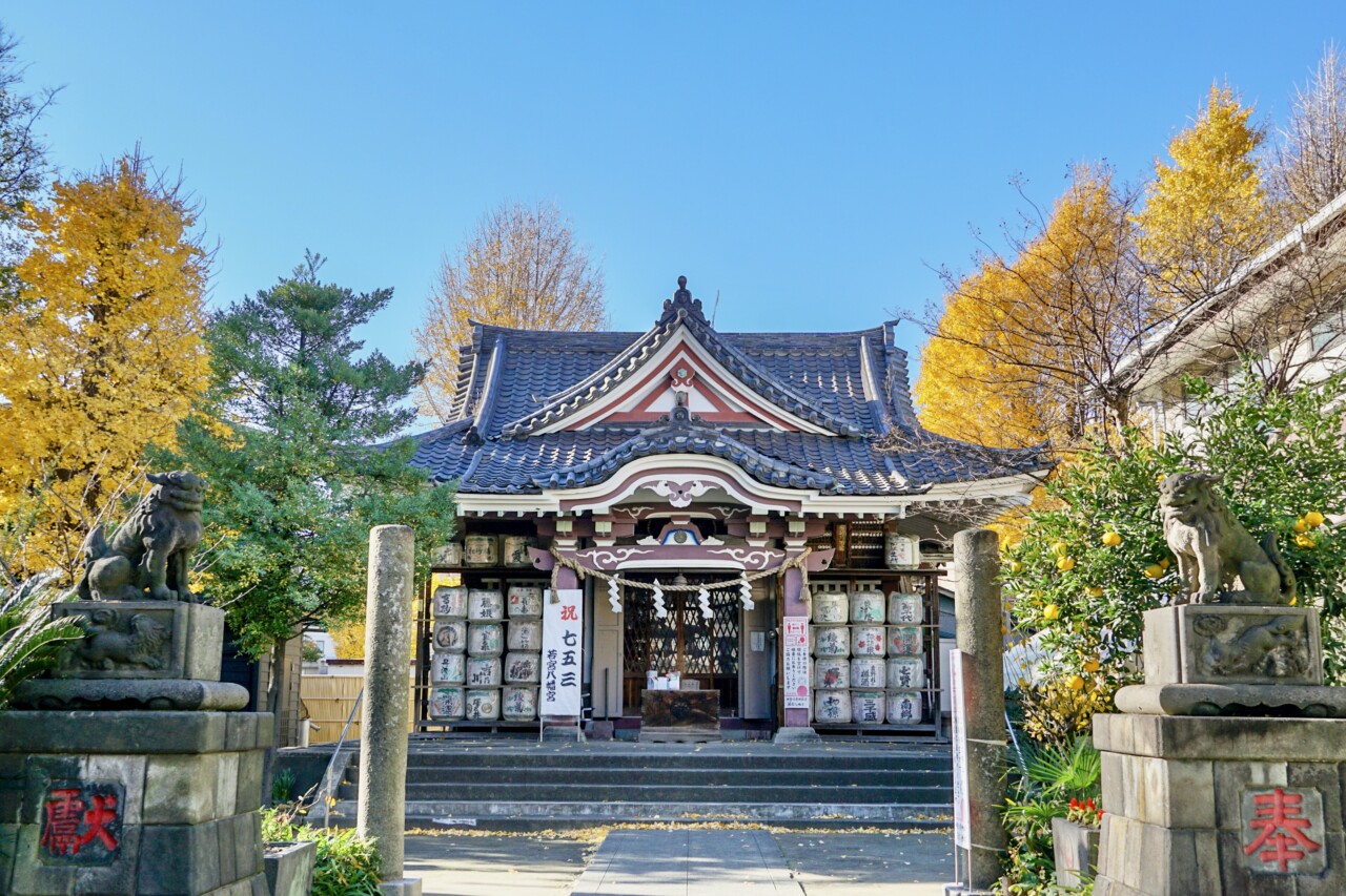 かなまら祭2024 - 日本の祭！岩本信一の福岡「博多祇園山笠」を語るブログ