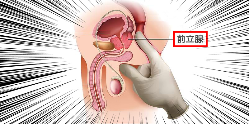 日帰り前立腺生検について | 二十四軒駅そば