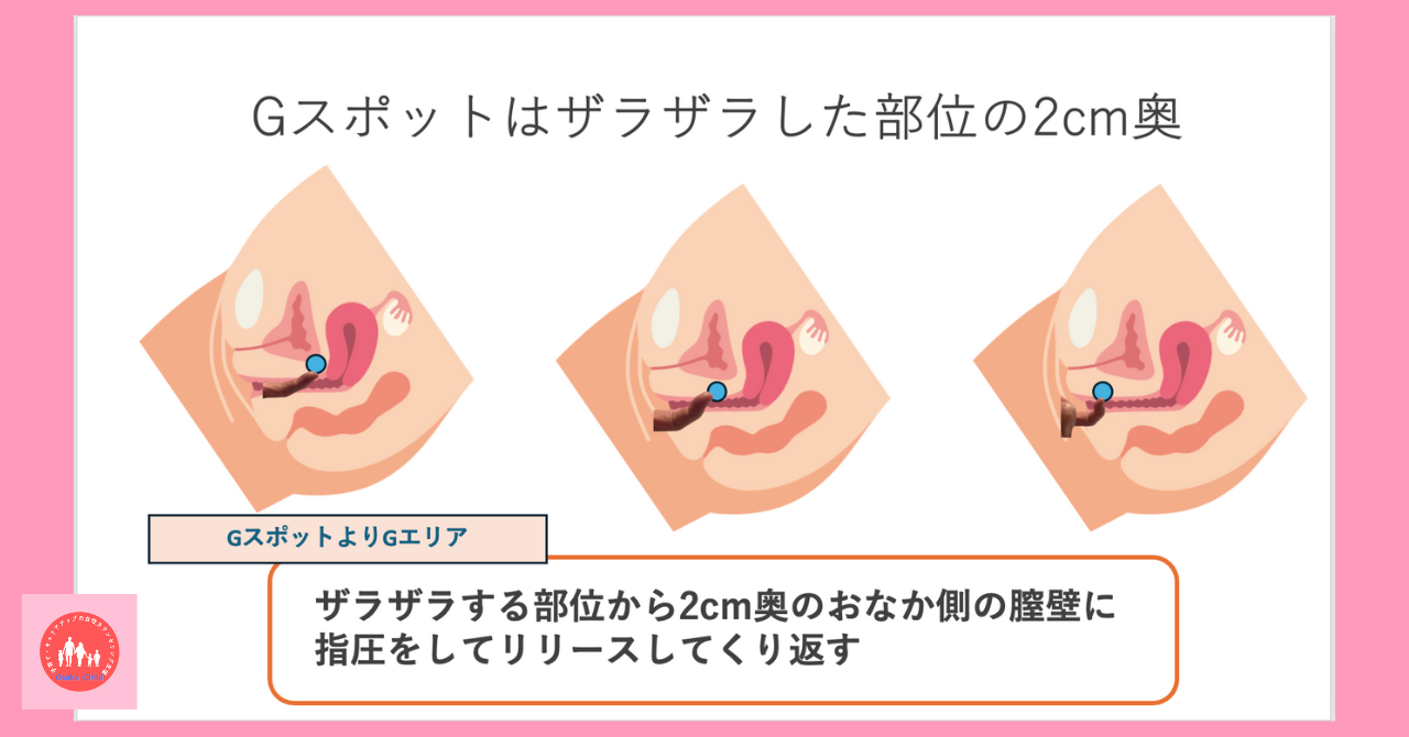 Gスポットの正しい位置とイカせる刺激方法【完全図解】 | セクテクサイト