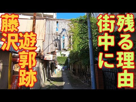 2021.5.15（土）藤沢市 辰巳町 飲食朋友会を偲ぶ～藤沢宿・旧東海道