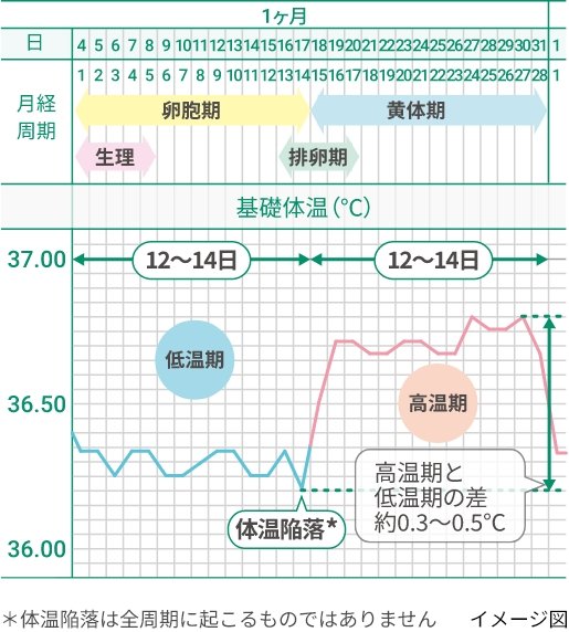 エロ」や「下ネタ」は英語ではなんて表現するの？ - ネイティブキャンプ英会話ブログ |