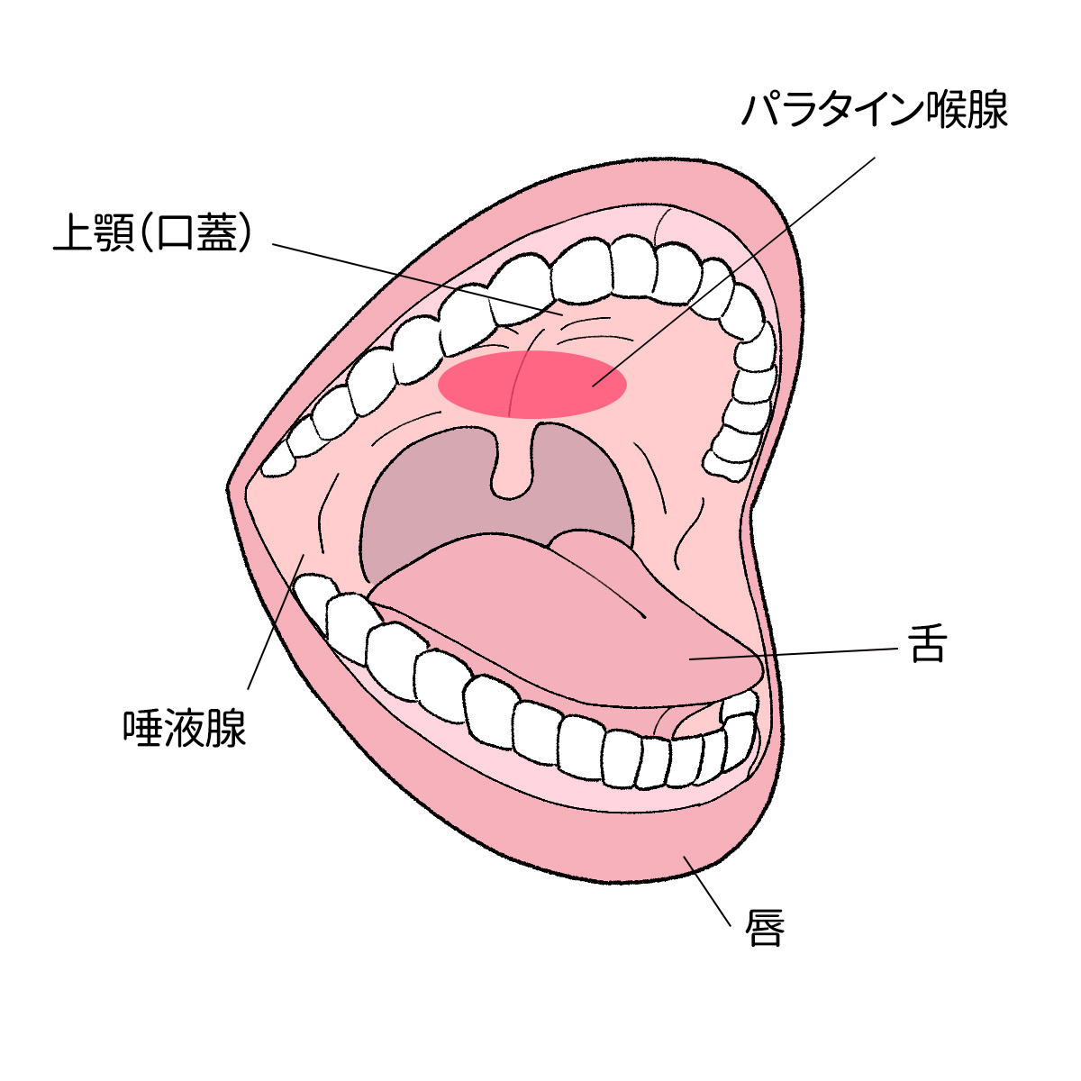 喉もマ○コも奥まで性感帯】「生が良い、あわよくば中に欲しい♪」とゴムを外して生ハメ要求してくるmeiちゃんと、ホテルで映えセックスしちゃいます！水着を着たままソファで中出し！？からのお風呂でも立ちバックでパコパコ！ベッドではローションまみれで奥まで堪能し  