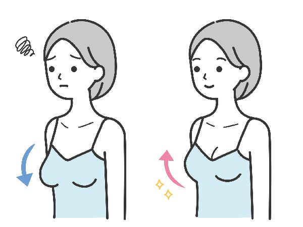 吊り乳 (つりちち)とは【ピクシブ百科事典】