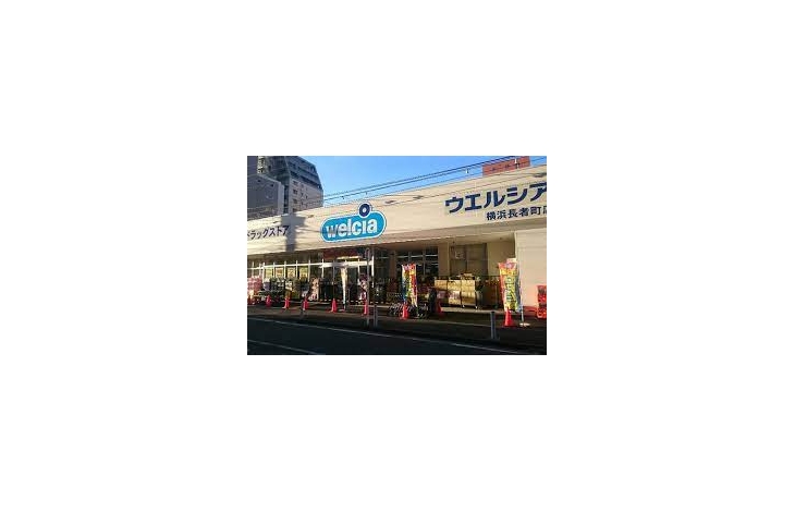 スギ薬局 関内店／ホームメイト