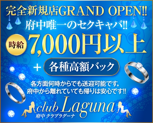 府中・調布・立川・八王子他のセクキャバ・いちゃキャバお店一覧【キャバセクナビ】